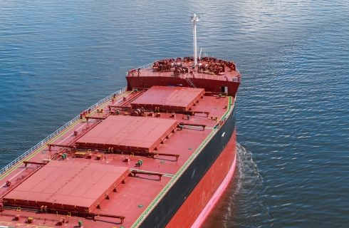 Bulk Cargo Ship